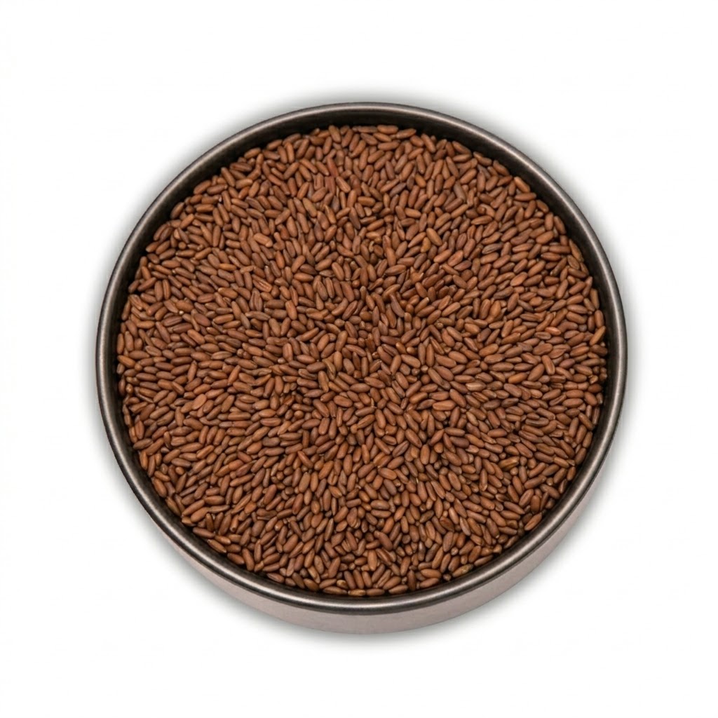 Aliv Seeds